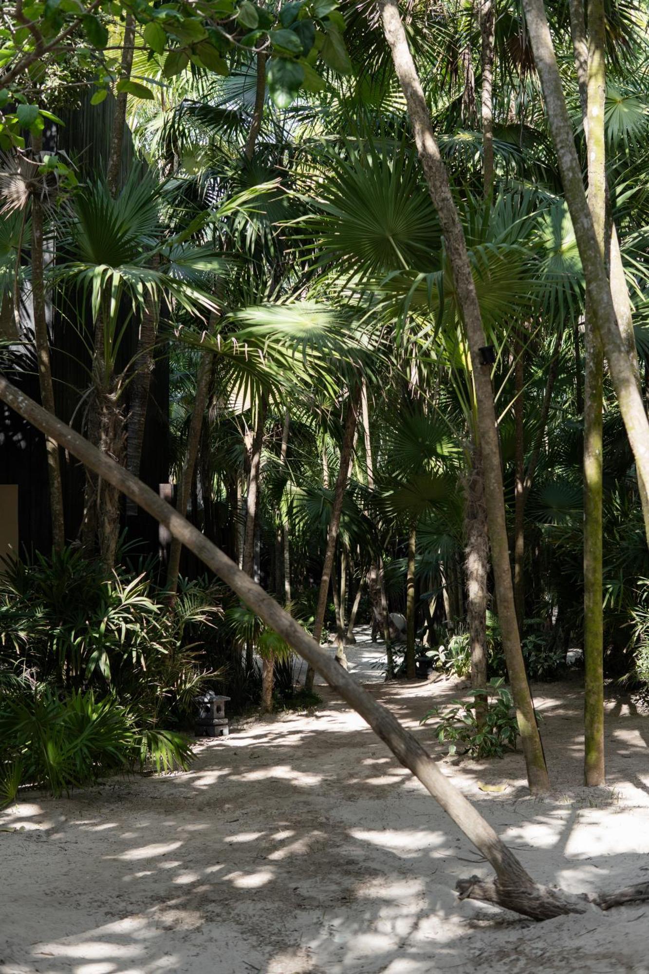 Umi Tulum 호텔 외부 사진