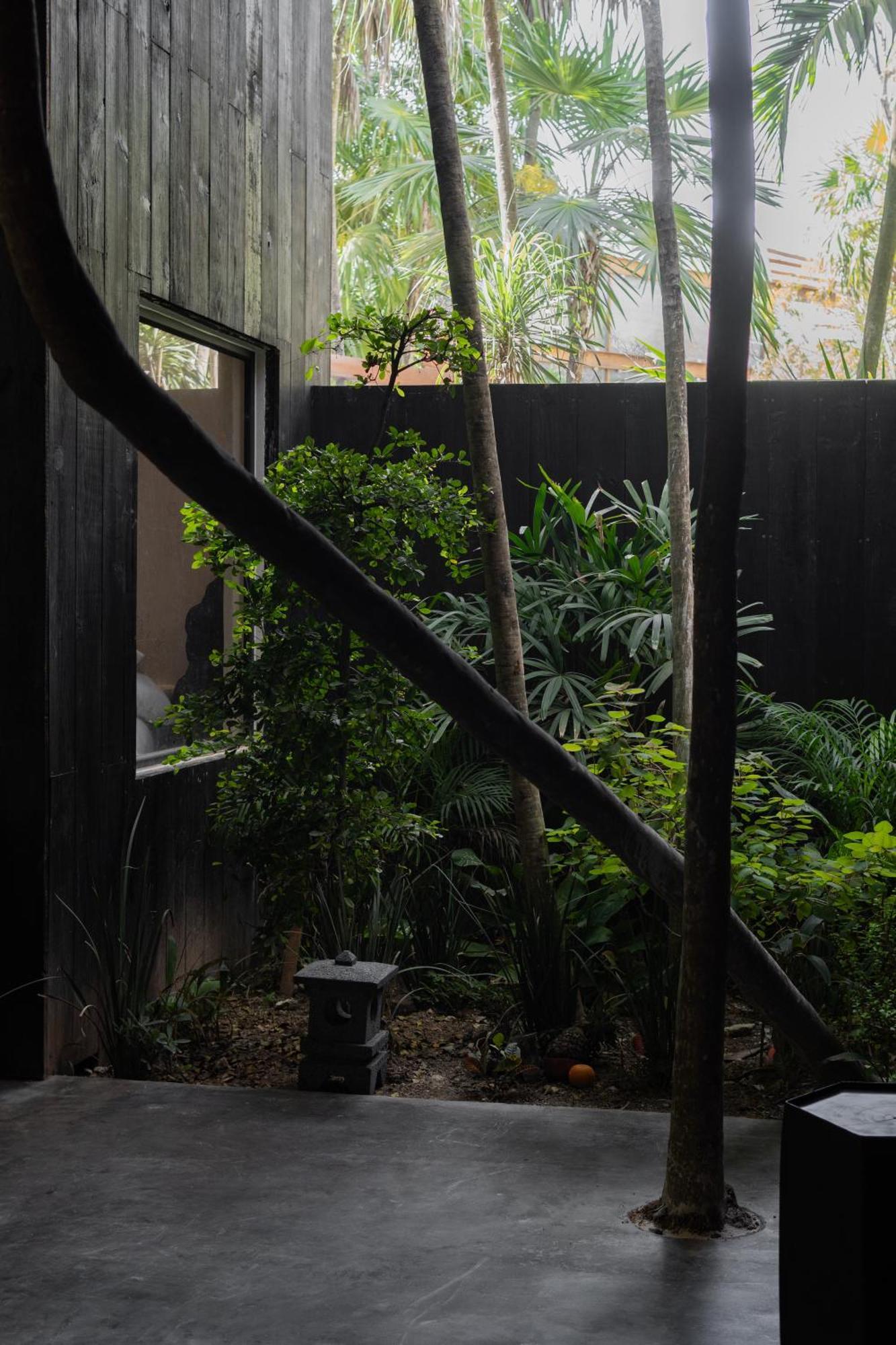 Umi Tulum 호텔 외부 사진