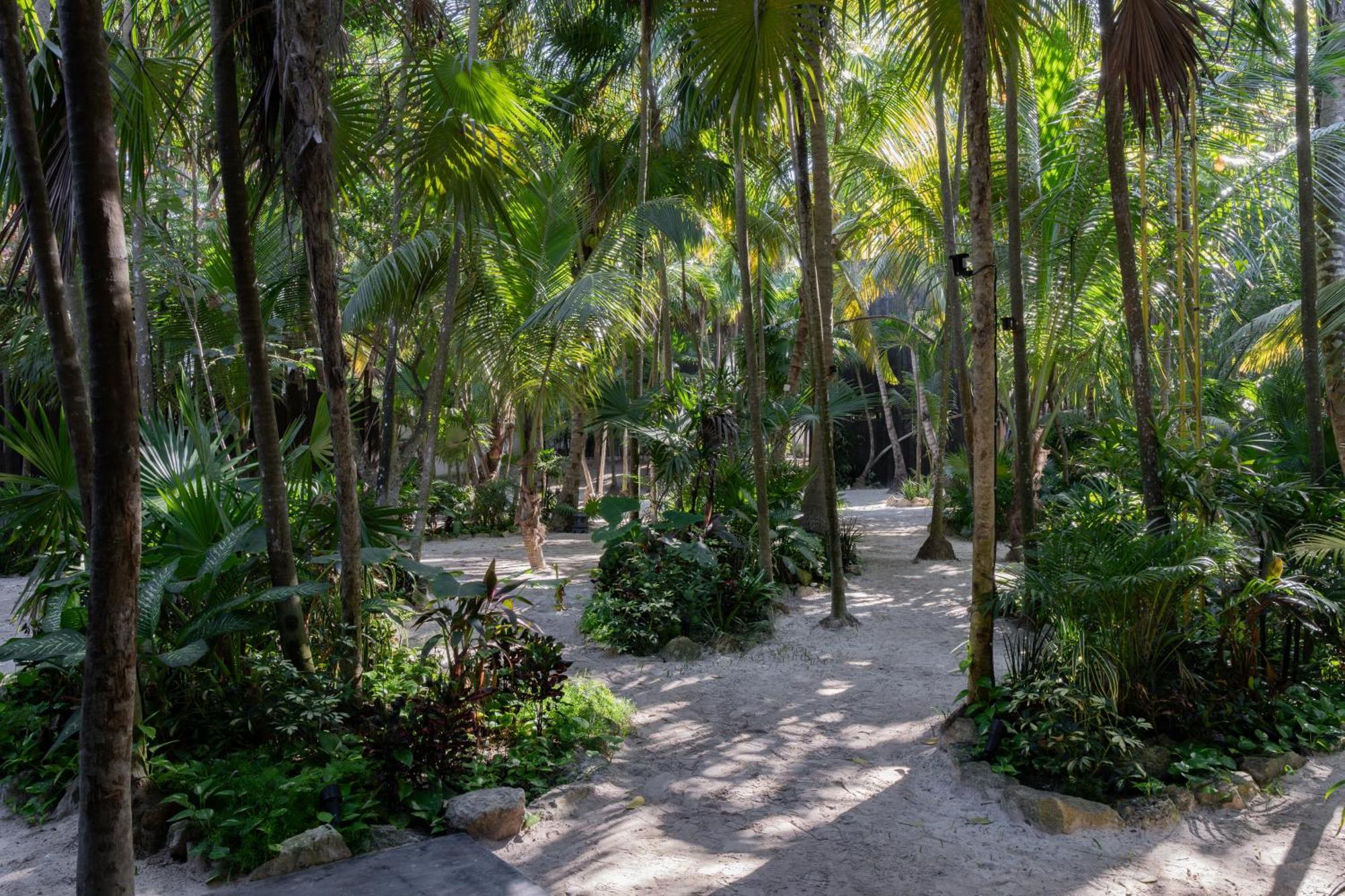Umi Tulum 호텔 외부 사진