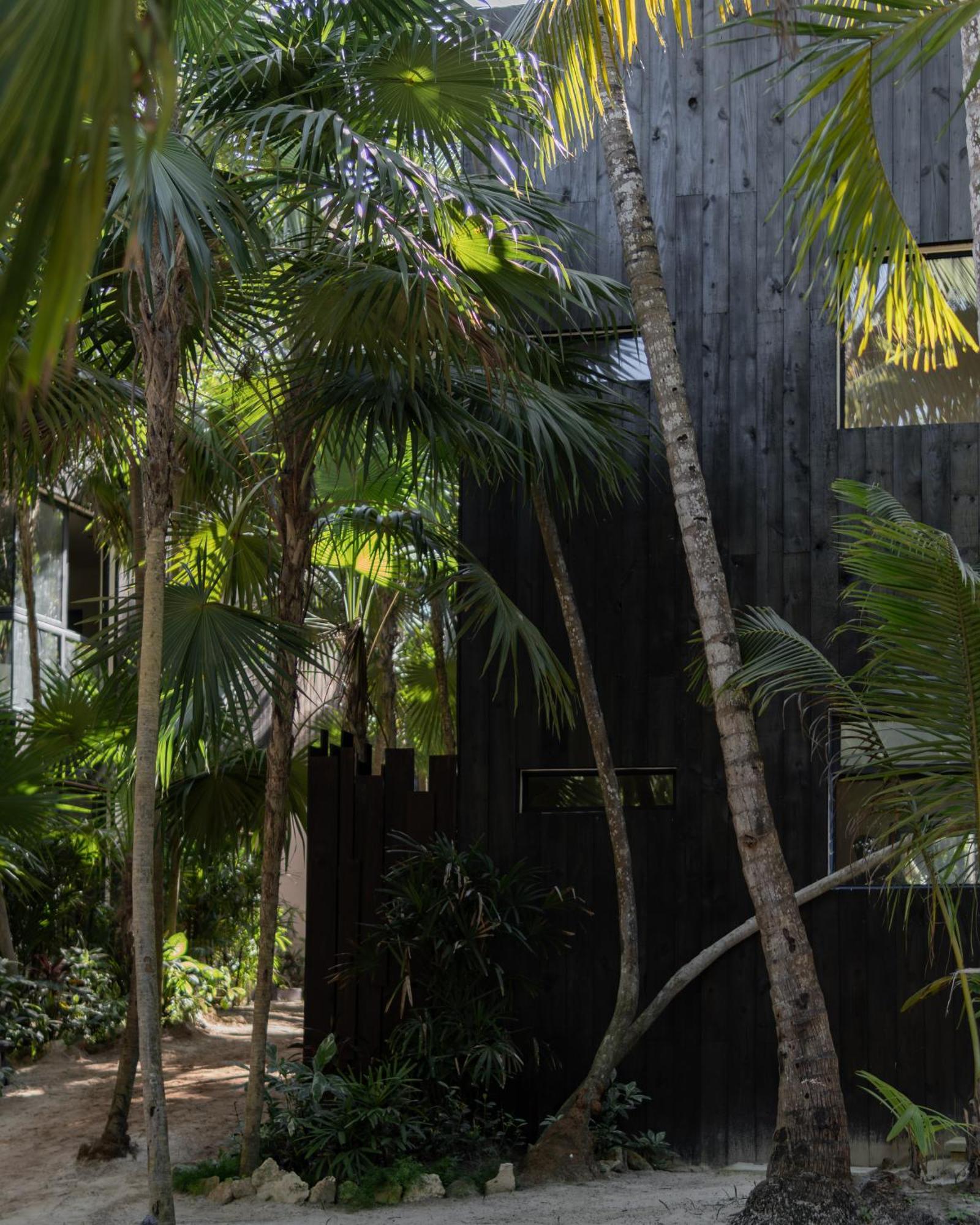 Umi Tulum 호텔 외부 사진